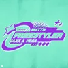 About Freestyler Song