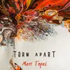 Torn Apart