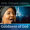 The Goodness of God, Vol. 2