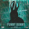 About Funny Bunny Song