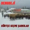 Kürtçe Uzun Hava