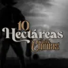 10 Hectáreas