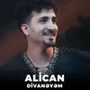 About Divanəyəm Song