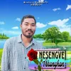 Nesengve Akanghon