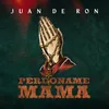 About Perdóname Mamá Song