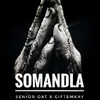 About Somandla Song