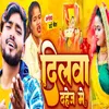 About Dilwa Dahej Me Song