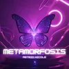 About Metamorfosis Song