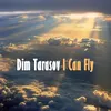 About I Can Fly Song