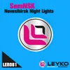 About Novosibirsk Night Lights Song