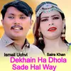 About Dekhain Ha Dhola Sade Hal Way Song