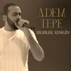 About Bilbilek Xemgîn Song