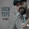 About Tu Dilî Song
