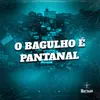 About O BAGULHO E PANTANAL Song