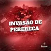 About INVASÃO DE PERERECA Song
