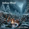 About Belleau Wood Song