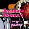 Ayakata Bongo 2