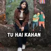 About Tu hai kahan Song