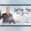 בן של מלך