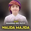 About Walida Majida Song