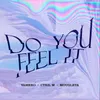 About Do You Feel It Song