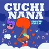 About Cuchinana Song