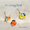 Morning bird