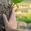 כשארז פוגש ארז