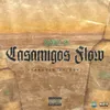 About Casamigos Flow Song
