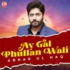 About Ay Gal Phullan Wali Song