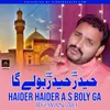 About Haider Haider A.s Boly Ga Song