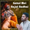 About Gokul Mei Bajat Badhai Song