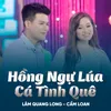 About Hồng Ngự Lúa Cá Tình Quê Song