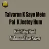 About Talvaron K Saye Mein Palk K Jeetey Hum Song