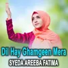 About Dil Hay Ghamgeen Mera Song