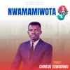 Lee Nwamamiwota
