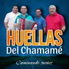 Asi es la vida (tiempo de chamame) Ft Ruth Olivera - DR