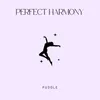 About PERFECT HARMONY Song