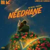About Needhane Song