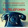 Ta telefonen