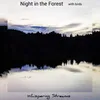 Night in the Forest