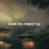 About Gore-Tex Freestyle Song