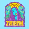 About Trippin Song
