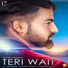 About Teri Wait Song