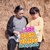 About Một Sợi Rơm Vàng Song