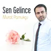 Sen Gelince