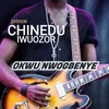 About Okwu Nwogbenye Song