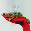 About BALI Song