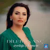 About Ayrılığı Çekemem Song