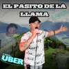 About El pasito de la Llama Song